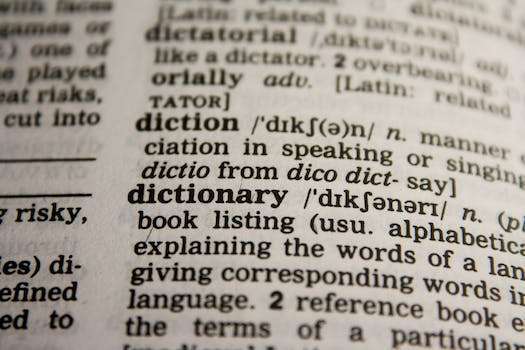 spanish dictionary